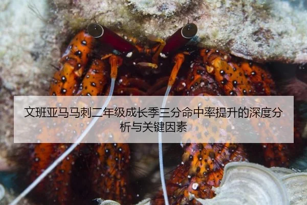 文班亚马马刺二年级成长季三分命中率提升的深度分析与关键因素