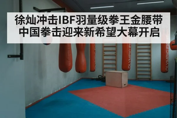 徐灿冲击IBF羽量级拳王金腰带 中国拳击迎来新希望大幕开启